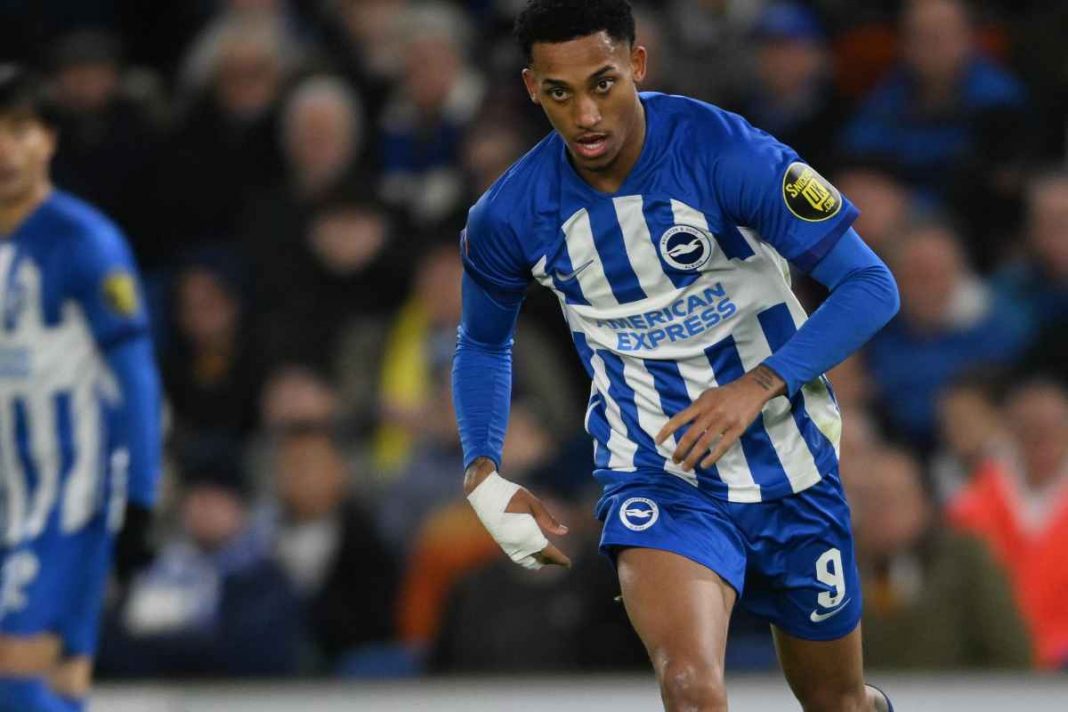 Brighton Wolverhampton Premier League Probabili Formazioni Pronostici