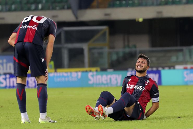 Bologna-Napoli, Serie A: streaming, probabili formazioni, pronostici