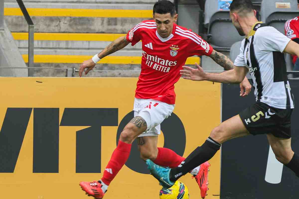 Benfica Estoril, Liga Portugal: tv, streaming, probabili formazioni, pronostico