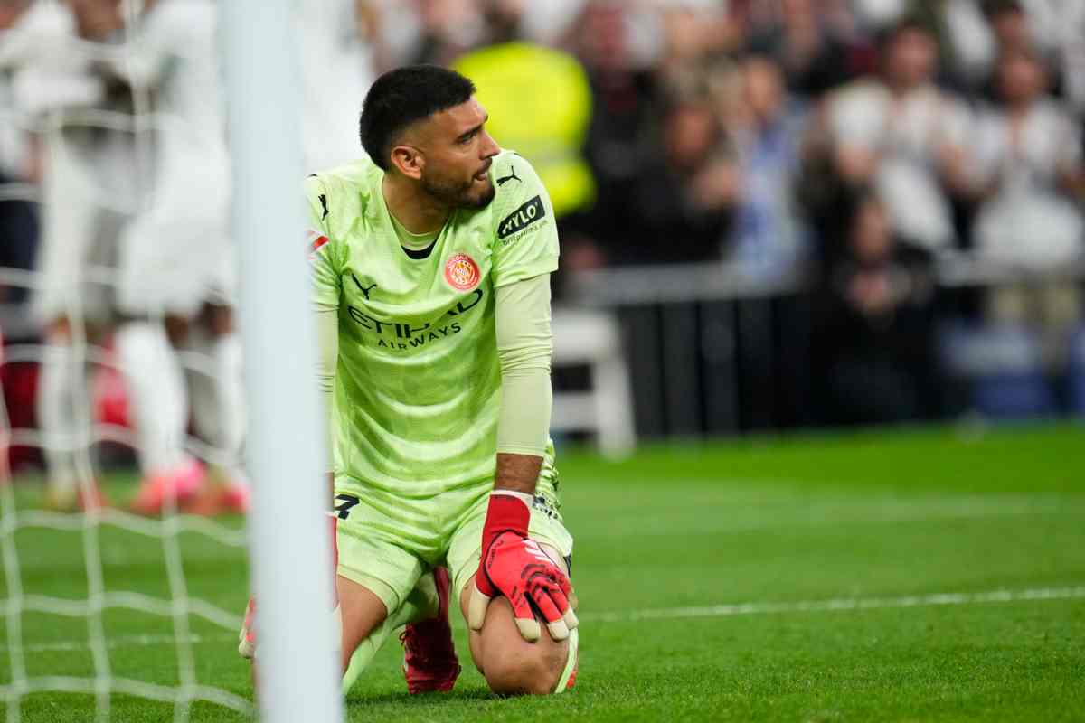 Gazzaniga